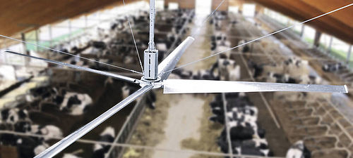 Lubratec ceiling fan Large-capacity fan for air circulation in a dairy barn